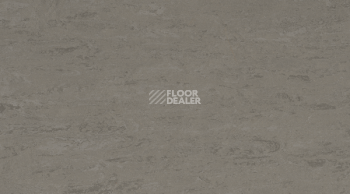 Линолеум Linodur Sport 1059 Slate Grey фото 1 | FLOORDEALER